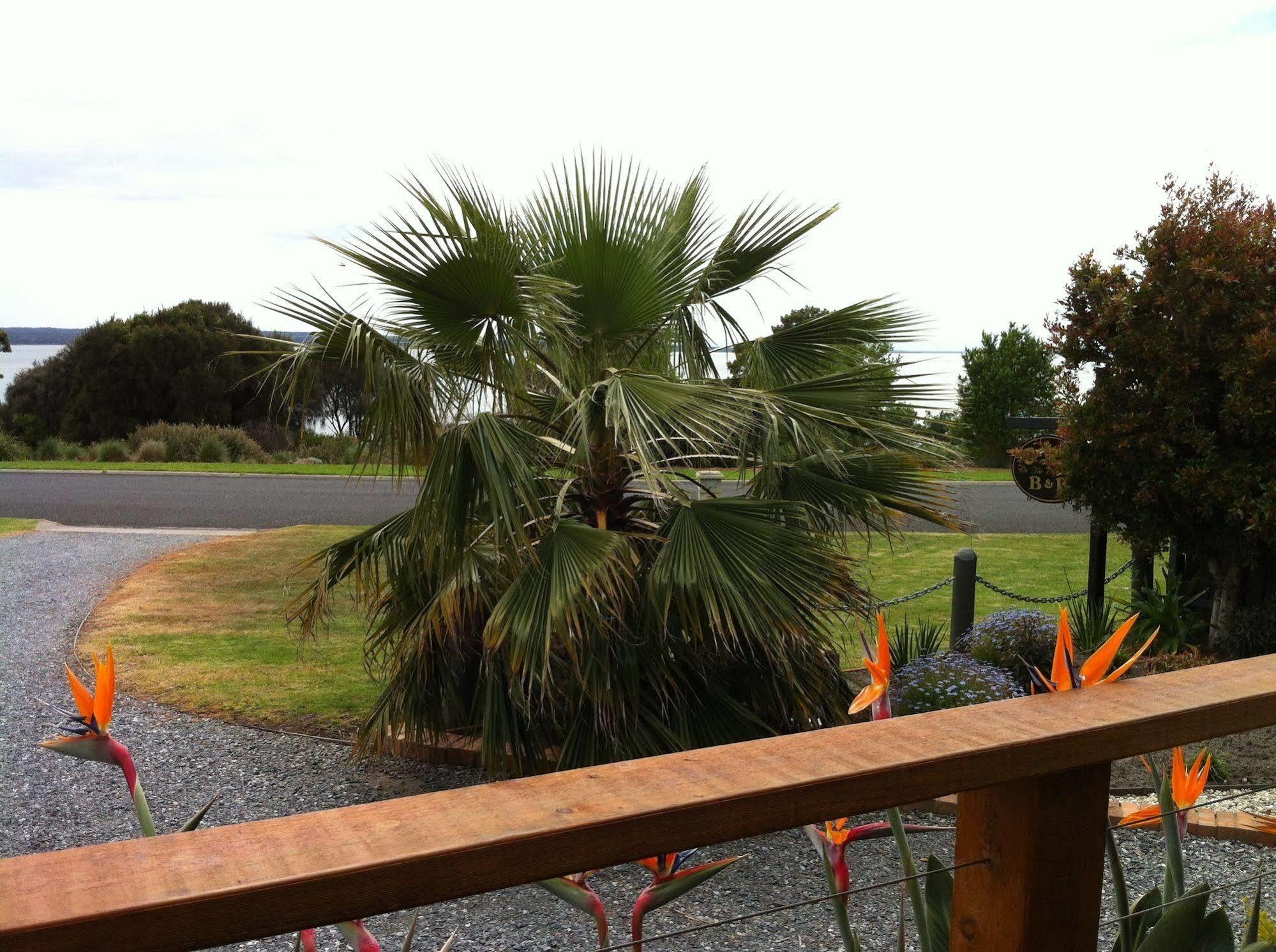 Corinella On The Esplanade Bed & Breakfast Exterior foto